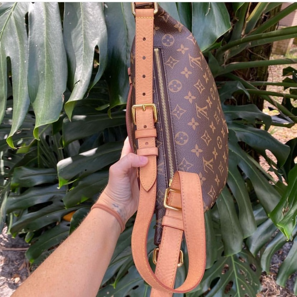Louis Vuitton Bum Bag - Picture 3 of 7